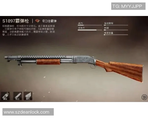 和平精英专题：深入探讨LNG在战术灵活性中的重要作用与应用分析