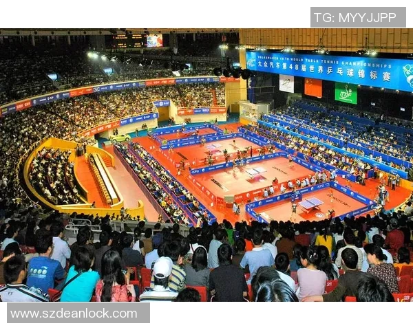 成都乒乓球队的速度之美与技术探秘乒乓球运动的魅力与发展之路