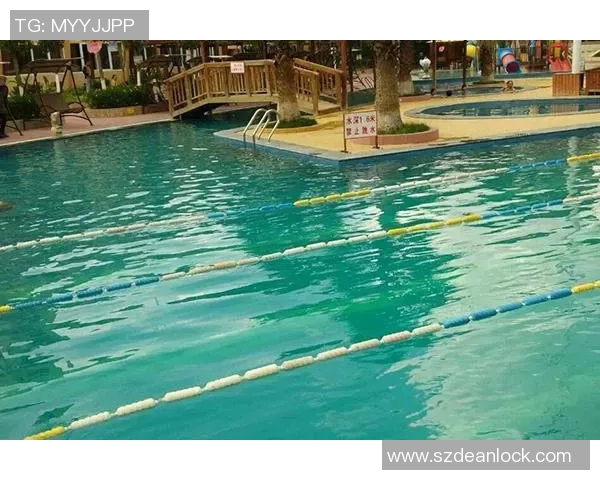 独家解析上海极限运动队的训练节奏与表现差异分析