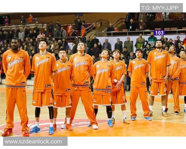 重庆篮球队在世锦赛中的实力展现与未来发展潜力分析 重庆篮球队在世锦赛中的实力展现与未来发展潜力分析