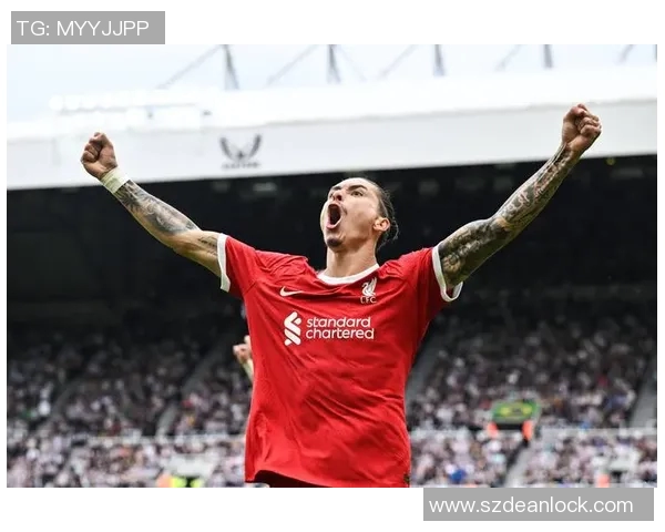 努涅斯在赛场上的崛起与挑战解析，未来能否成为足球新星的关键时刻