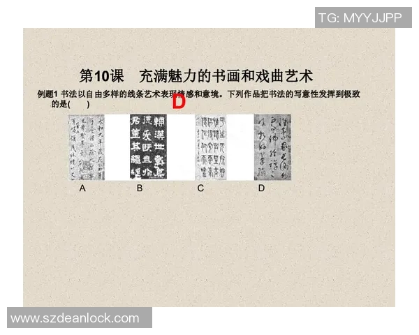 探索索博斯洛伊的历史与文化魅力揭示其在现代社会中的重要性与影响力